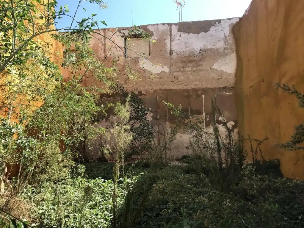 Terreny rústic en venda a C/ Albareda, imagen 6