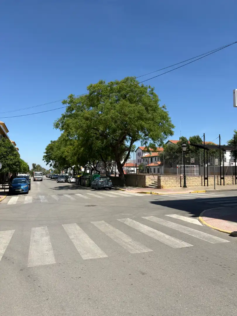 Local comercial en alquiler en Carmona, imagen 4