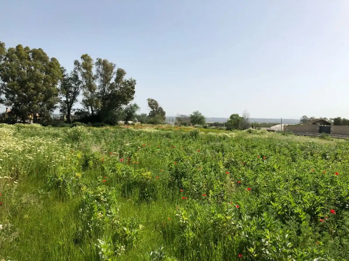 Terreni e lotti in vendita a Barbate ciudad, imagen 26