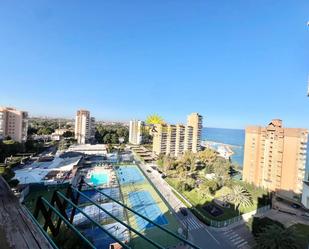 Piscina de Apartament de lloguer en Orihuela amb Aire condicionat, Calefacció i Moblat