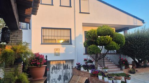 Foto 4 de Finca rústica en venta en Orihuela ciudad, Orihuela