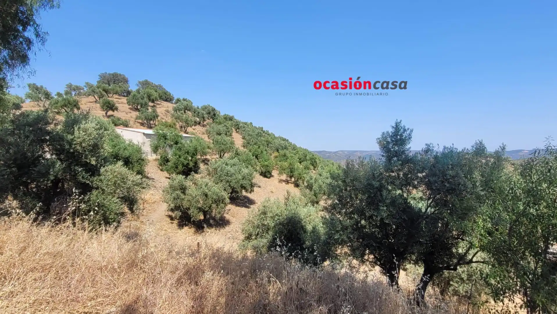 Finca rústica en venda en Pozoblanco amb Traster