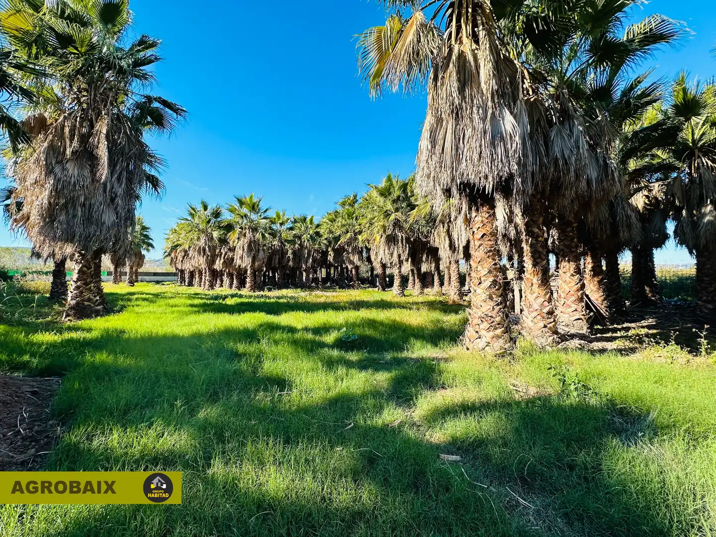 Terreno rustico in vendita a Eixample, imagen 19