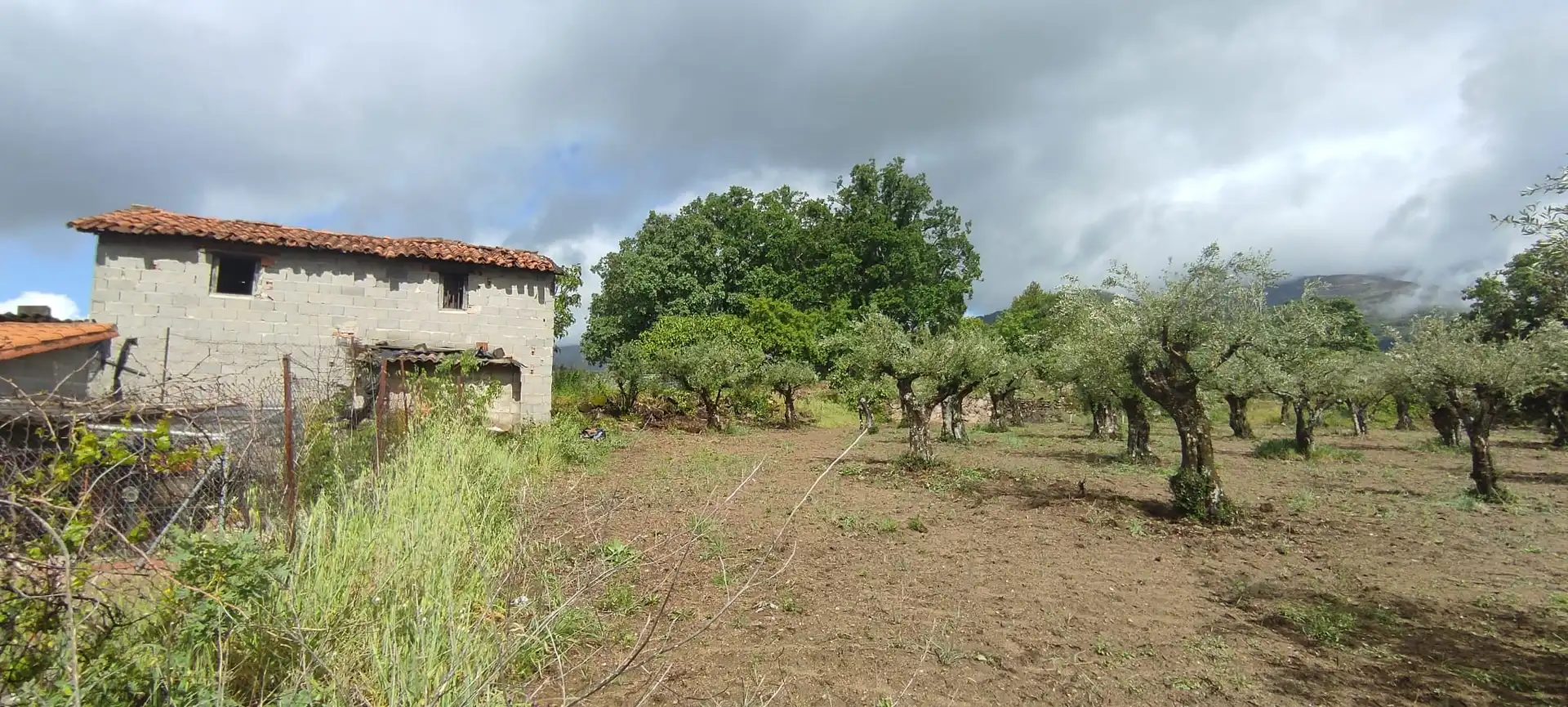 Terreni e lotti in vendita a Jarandilla de la Vera, imagen 6