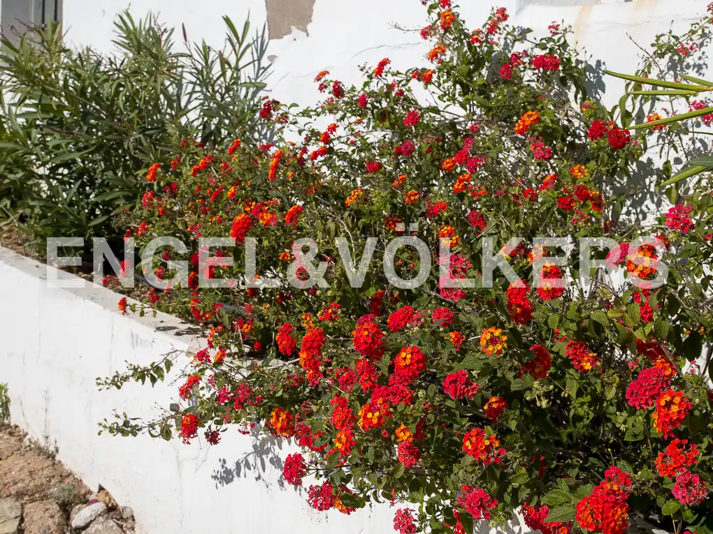Jardín de Finca rústica en venta en Segorbe con Calefacción, Jardín privado y Trastero