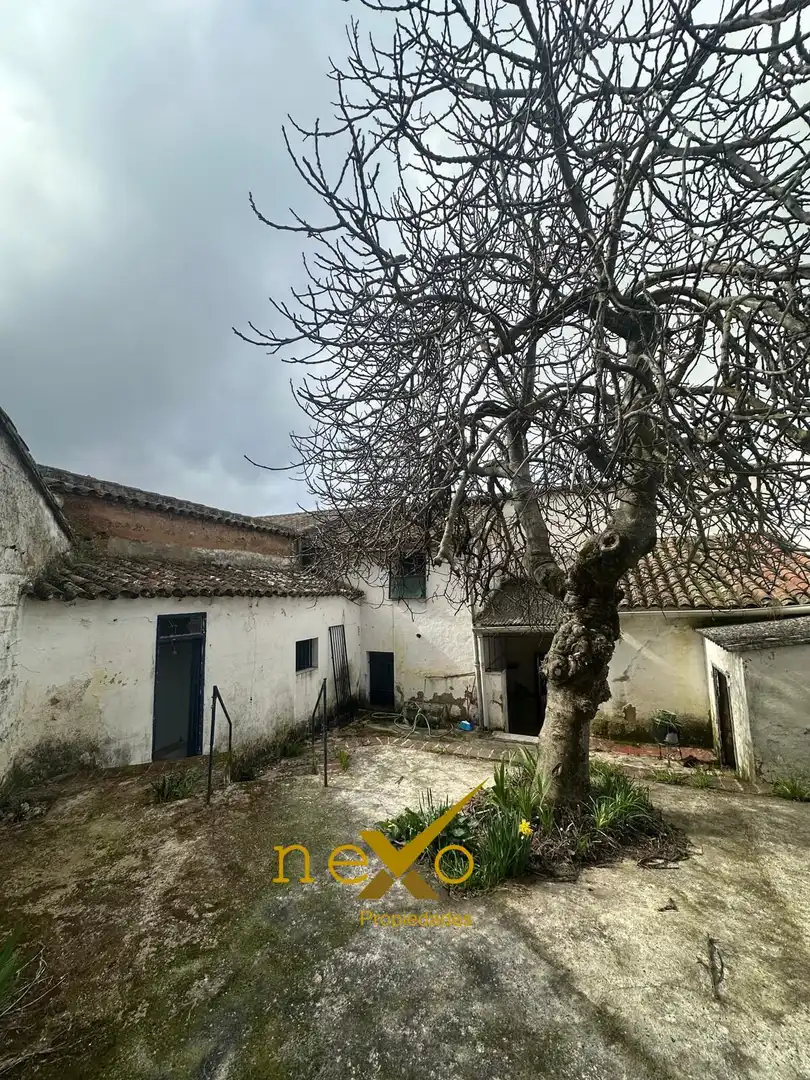 Vista exterior de Finca rústica en venda en San Nicolás del Puerto amb Jardí privat i Balcó
