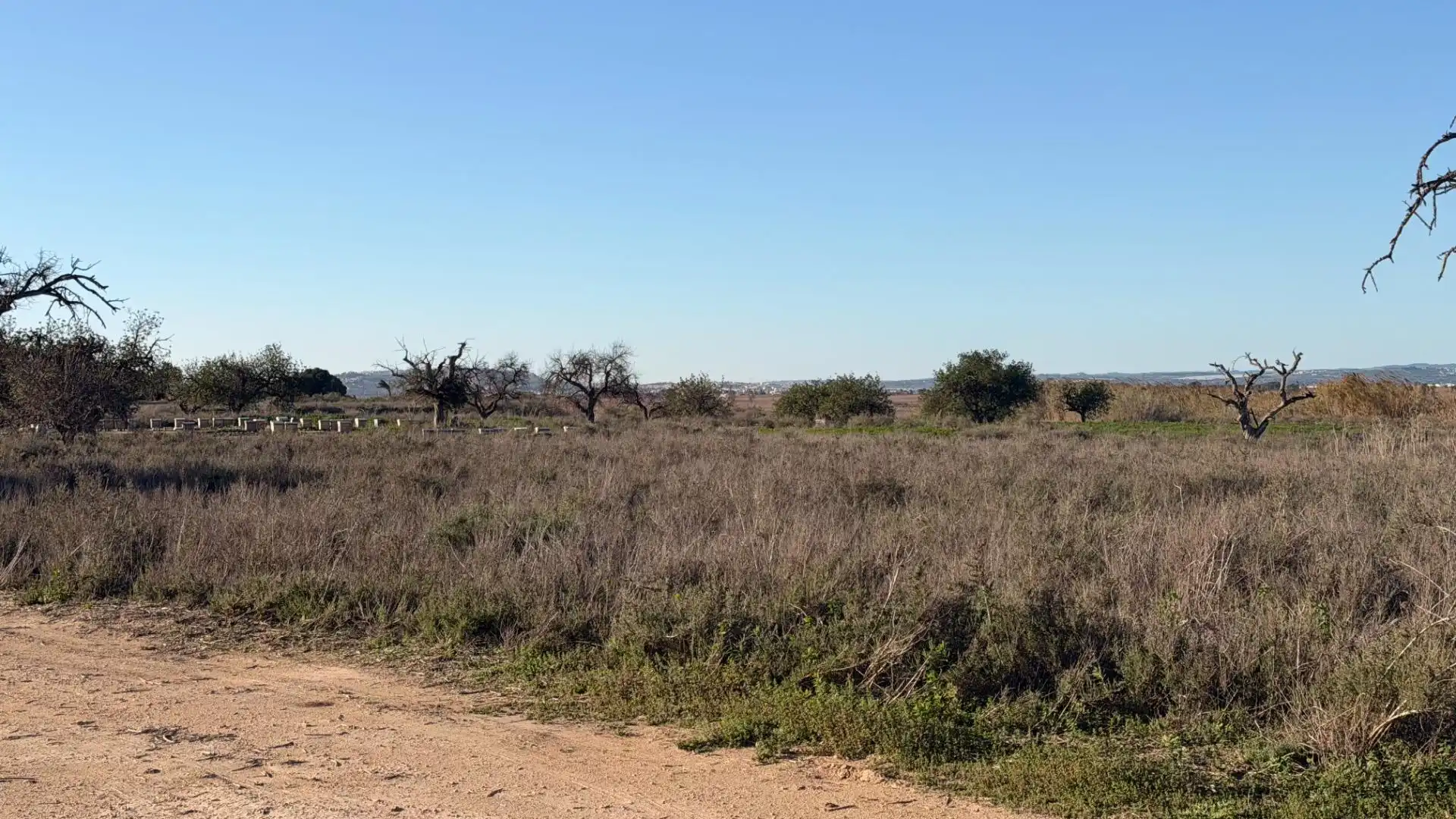 Terreno residencial en venta en La Marina, imagen 49