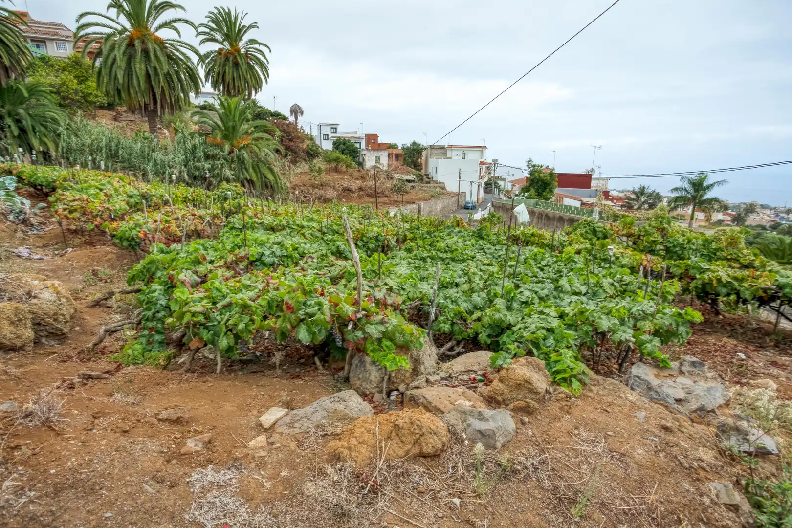 Oficina en venta en Fuente Gonzalo, La Vera - El Farrobillo - Tosca de Ana María