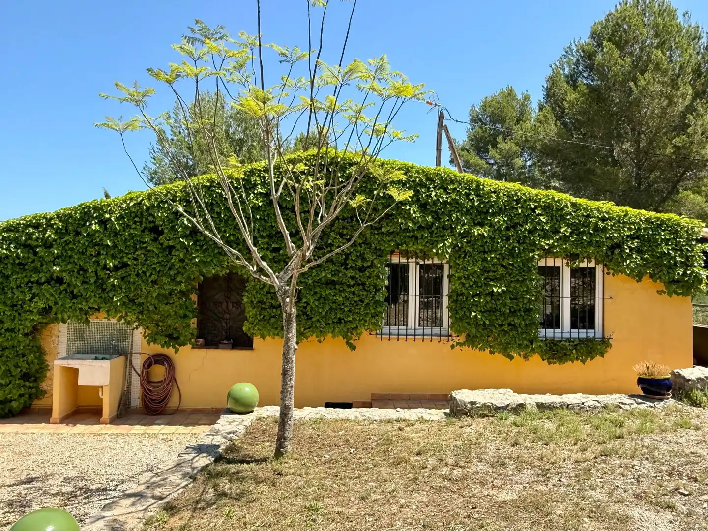Villa con piscina in vendita a Jesús Pobre, imagen 16