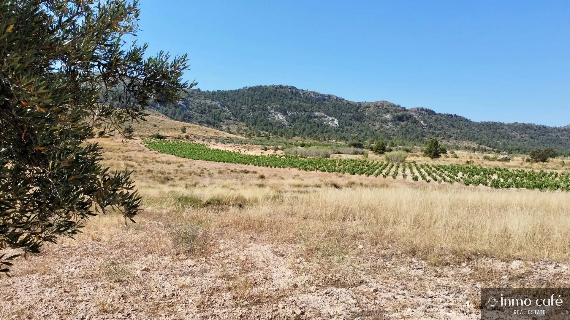 Terreno rustico in vendita a Parcela  CABEZO POLI., imagen 12
