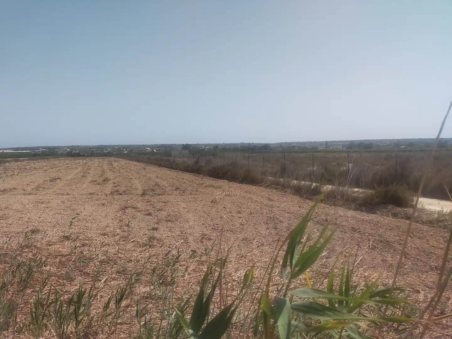 Terrain rustique à vendre à La Foia - Daimés - Asprella, imagen 6
