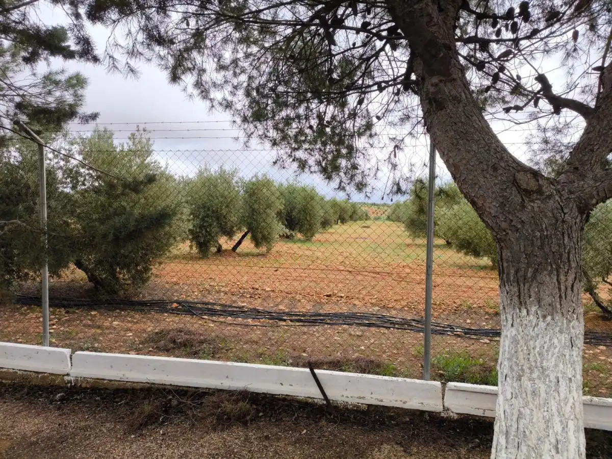 Chalet en venta en Valdepeñas, imagen 21
