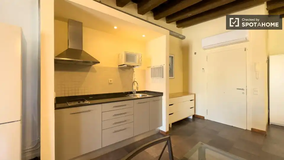 Appartamento con terrazza in affitto a Ciutat Vella, imagen 3