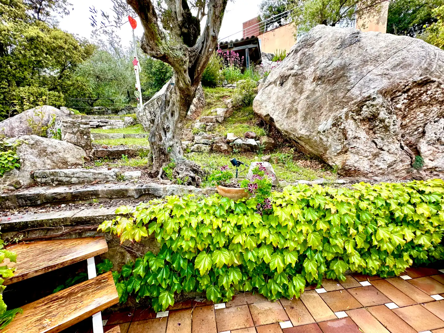 Jardí de Casa o xalet en venda en Castellar del Vallès amb Calefacció, Jardí privat i Piscina