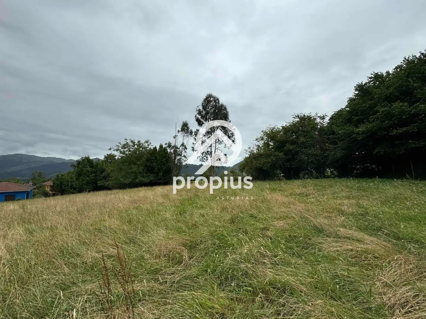 Rural land for sale in Arenas, imagen 25