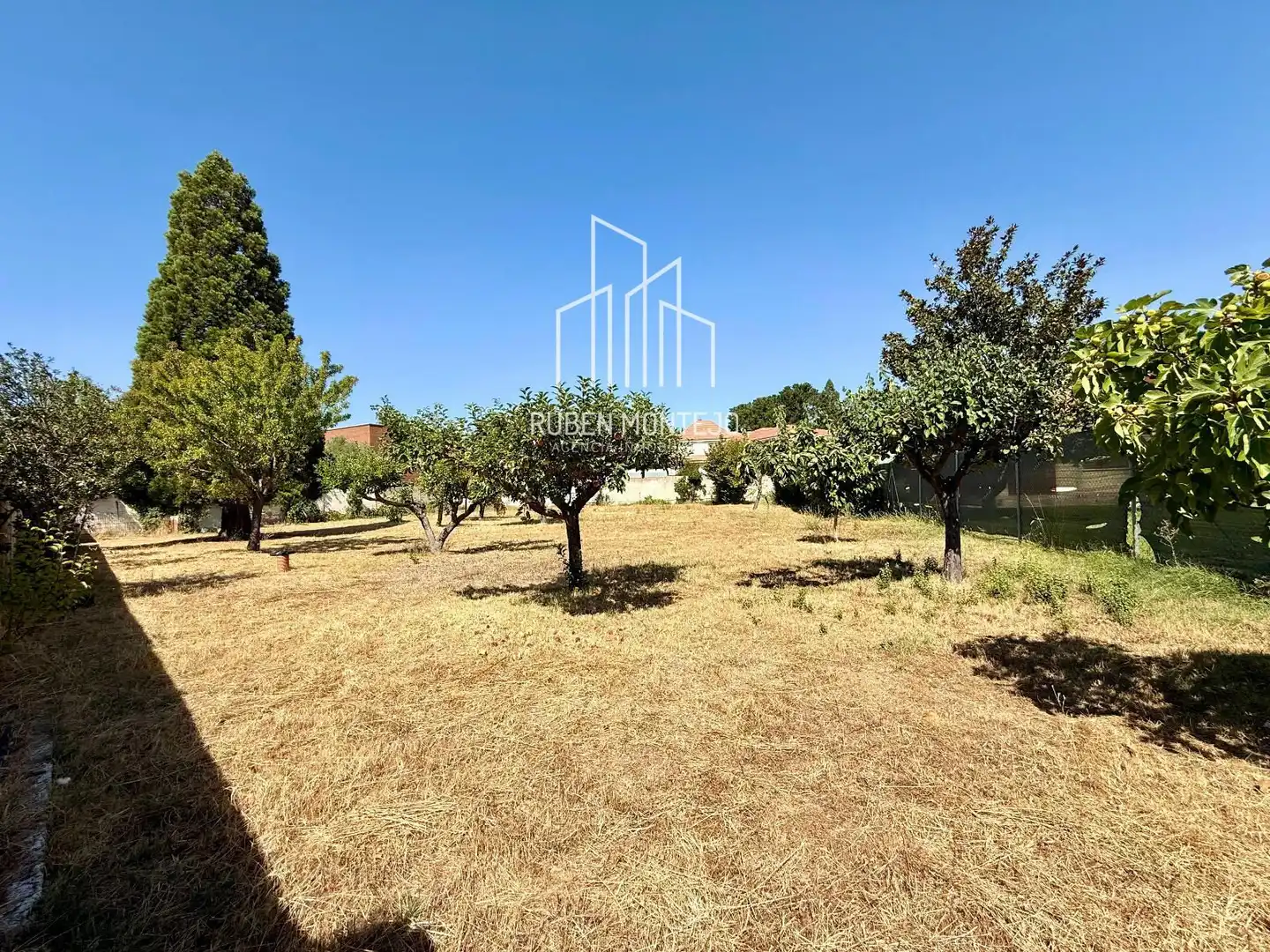 Rural land for sale in Cañaveral, imagen 5