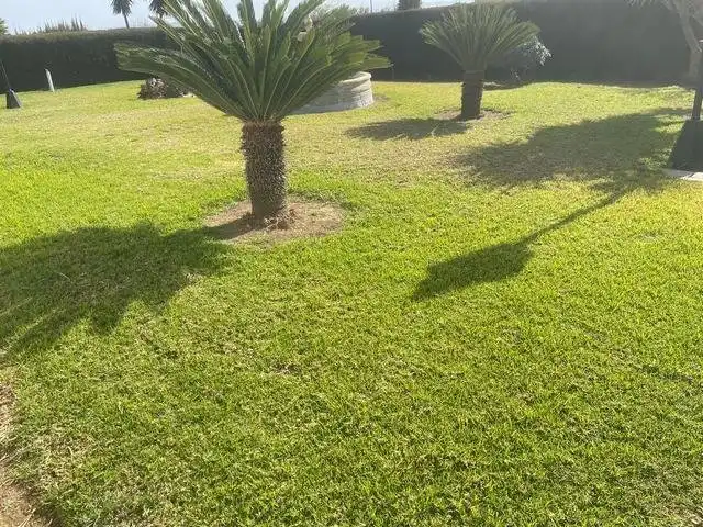 Jardín de Casa o chalet en venta en Córdoba con Piscina y Amueblado