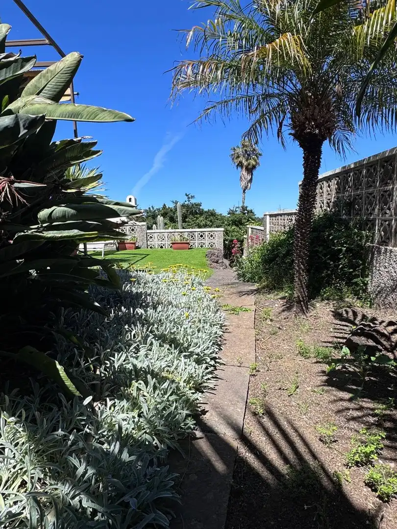 Jardín de Casa o chalet en venta en Santa Brígida con Jardín privado, Terraza y Trastero