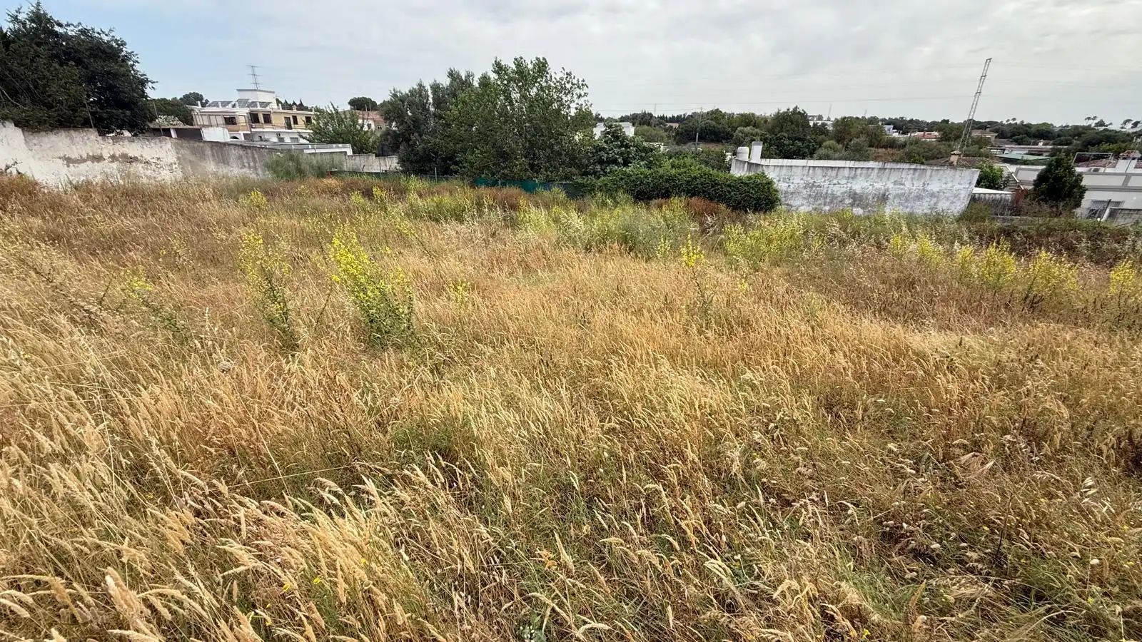 Rural land for sale in El Juncal - Vallealto, imagen 3