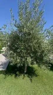 Casa amb piscina en venda a ANHIDRITA, imagen 29