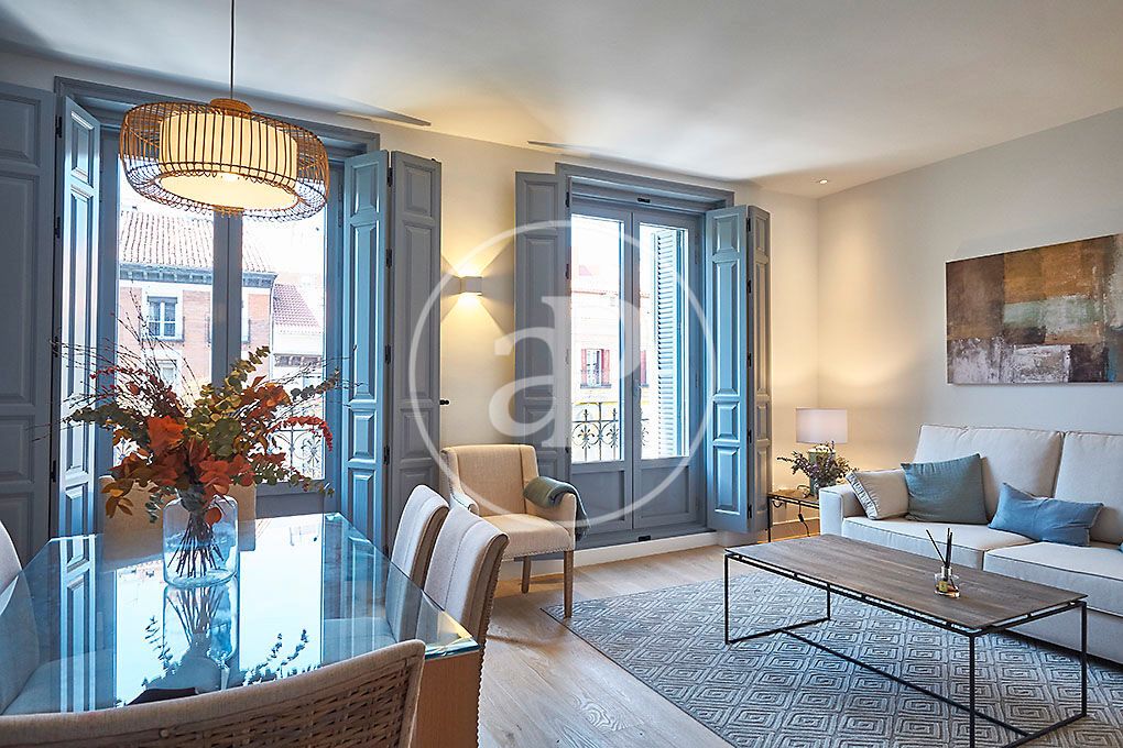 Living room of Flat to rent in  Madrid Capital  with Air Conditioner, Heating and Furnished