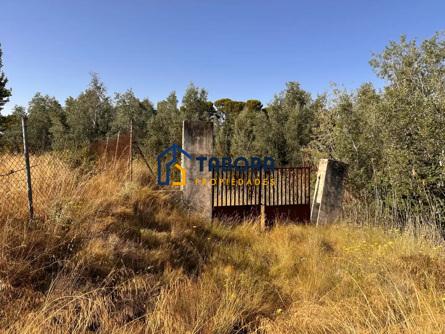 Terreny rústic en venda a Avinguda de la Constitució 8, imagen 10