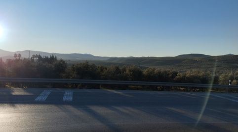 OLIVAR CON 83 M2 DE CONSTRUCCION EN ESCRITURA, immagine 5