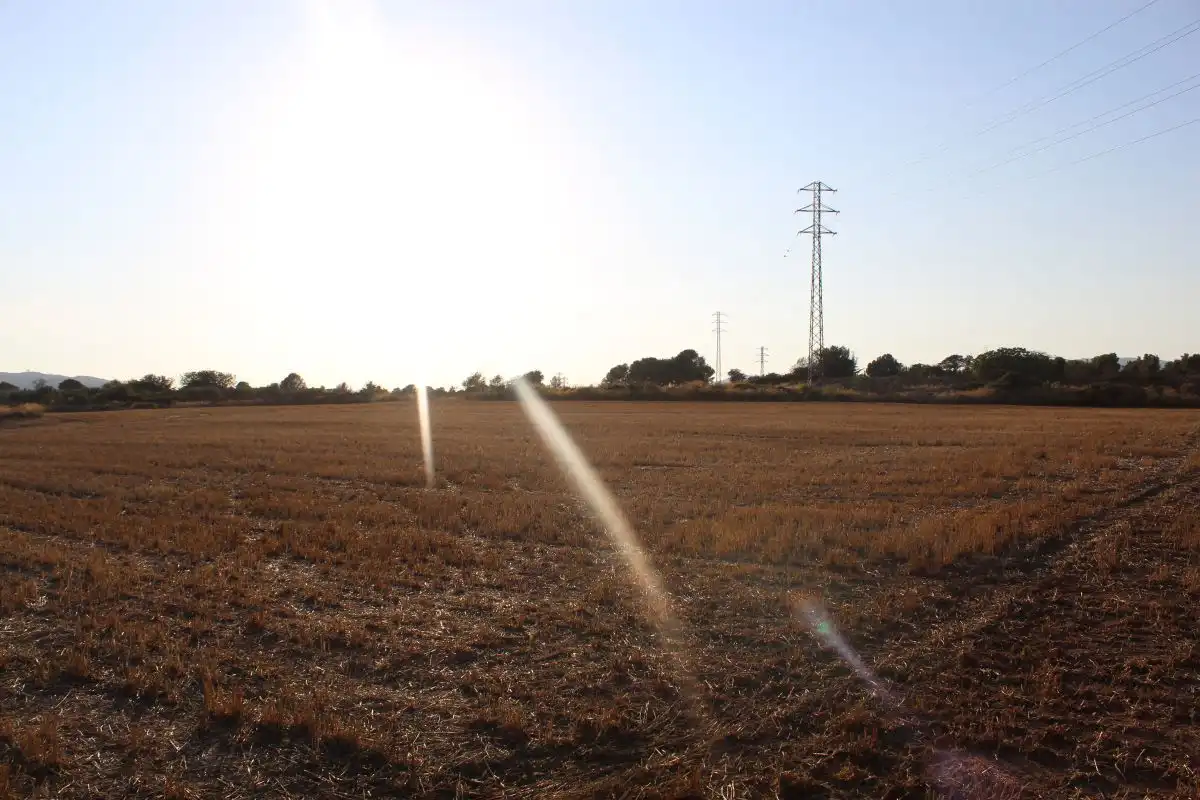 Terreno rústico en venta en Banyeres del Penedès, imagen 5