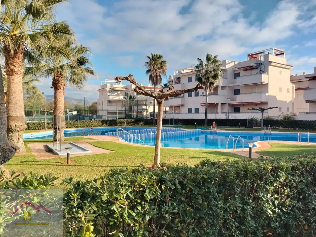 Baixos amb piscina en venda a Calle Xaloc 9