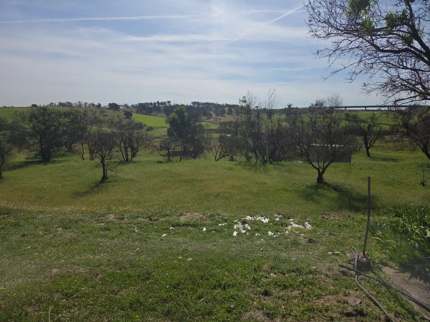 Finca rústica en venta en Navalcarnero