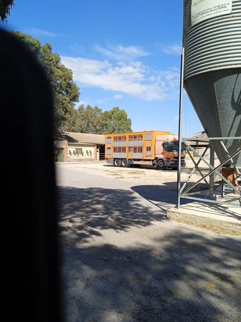 Terreny rústic en venda a Camino De La Alcoraya, imagen 9