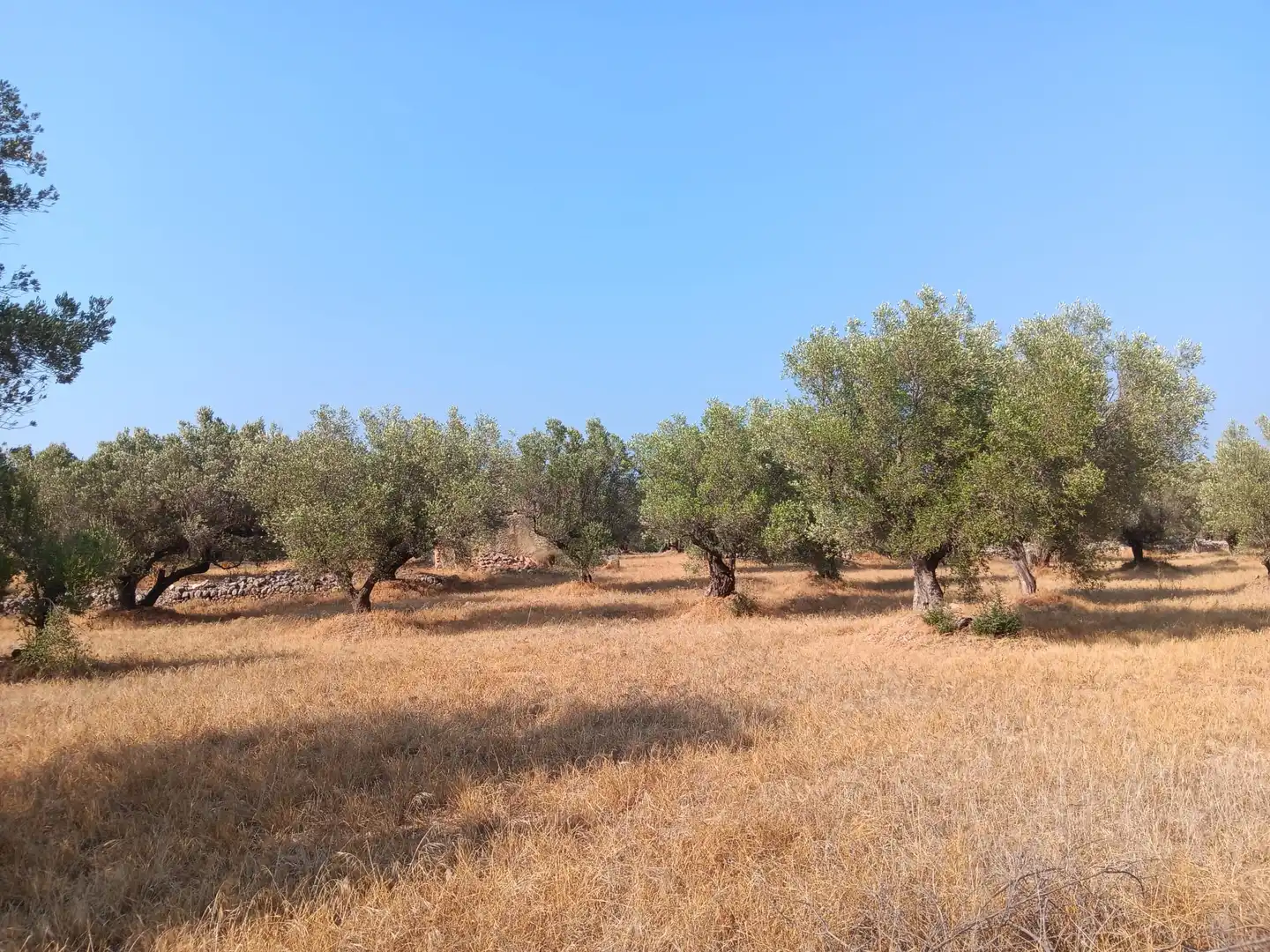 Residencial en venta en Tortosa