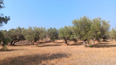 Foto 5 de Residencial en venta en Ferreries, Tortosa