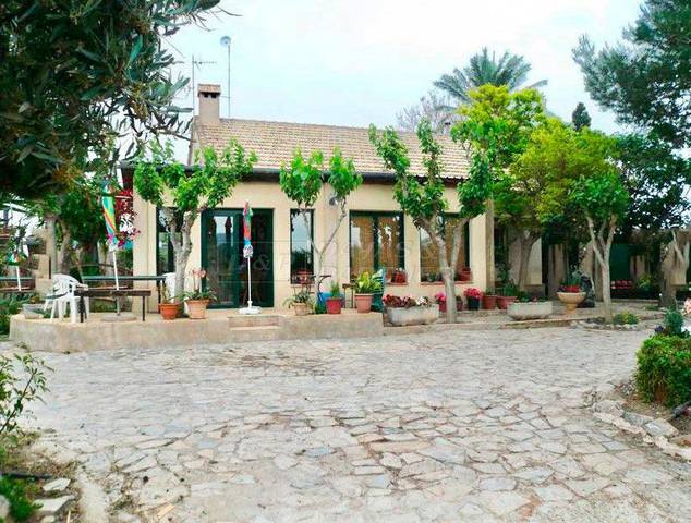 Finca rústica en Alquiler en Camino Alto de las Atalayas en Llano de Brujas