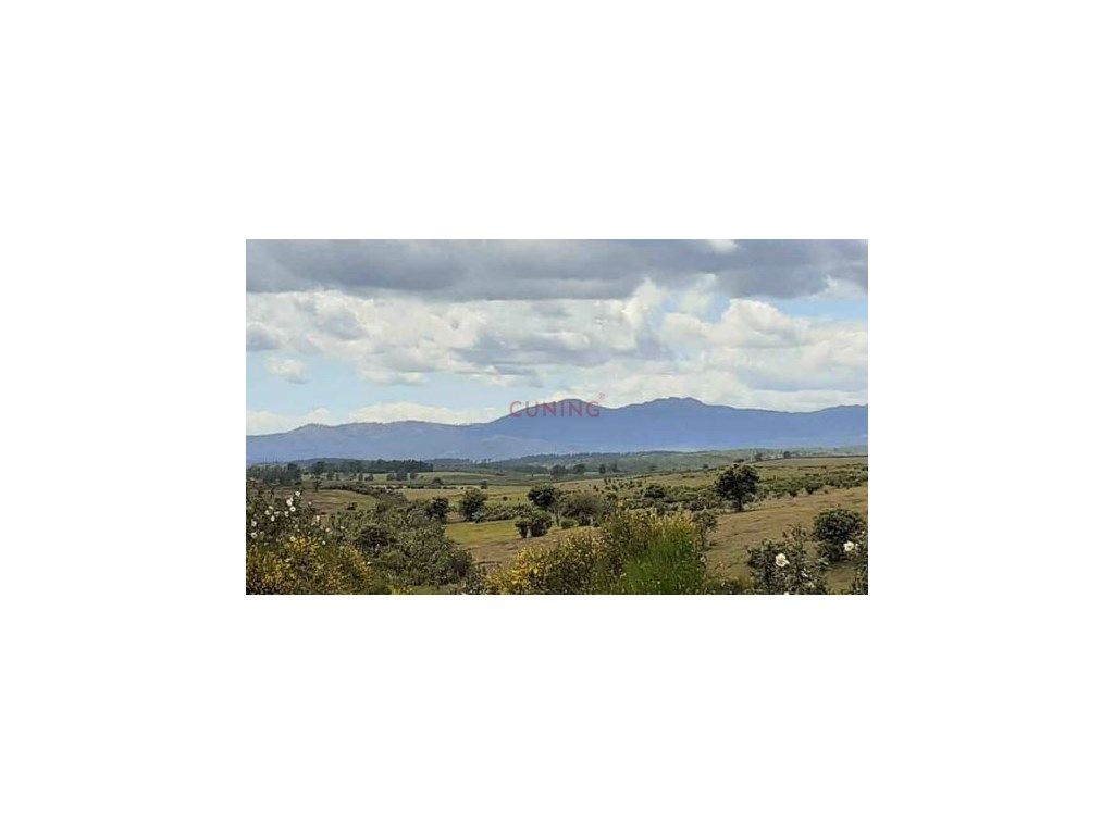 Country house for sale in Cilleros