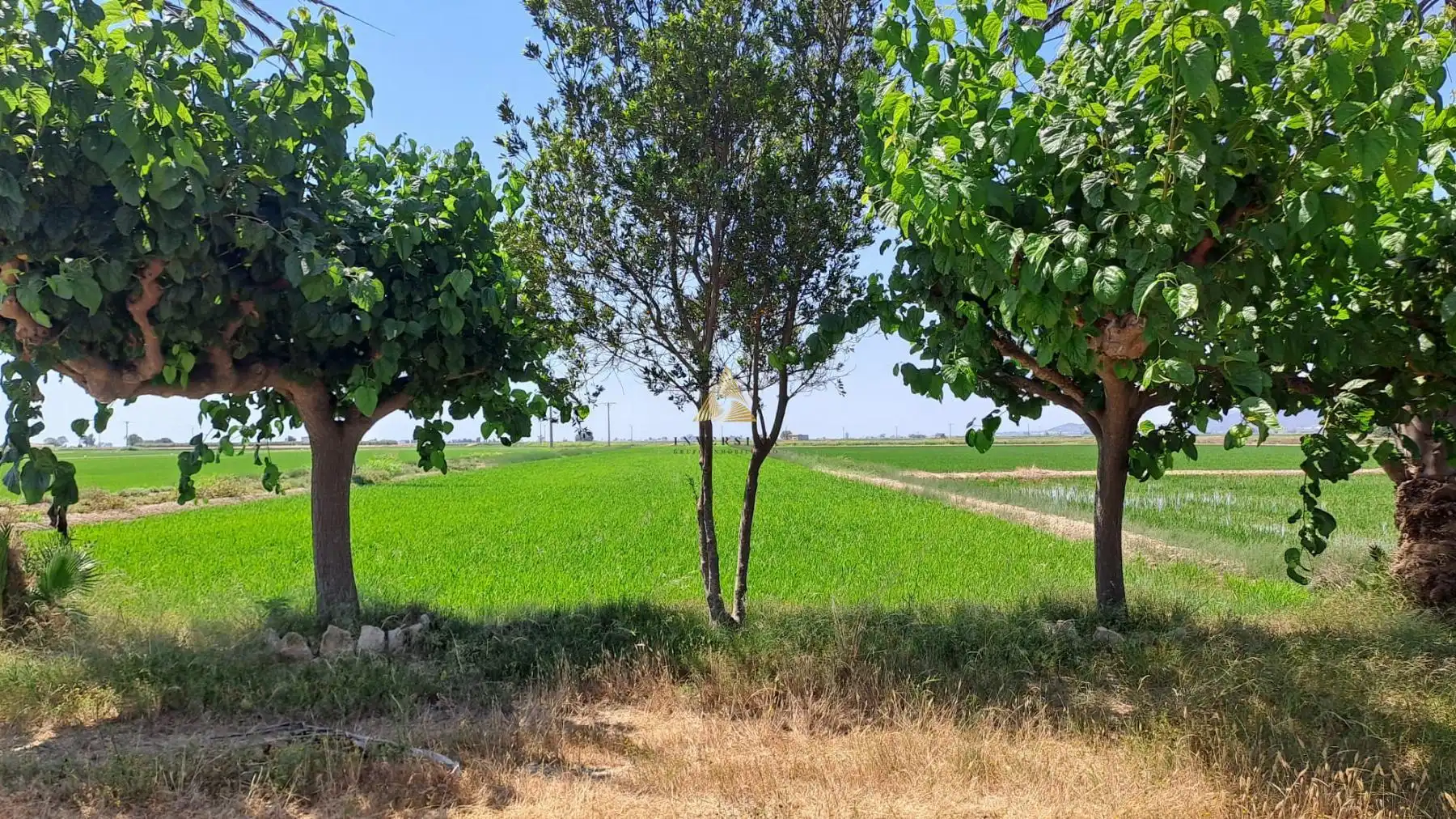 Detached house for sale in Eucaliptus- Poble Nou del Delta, imagen 2