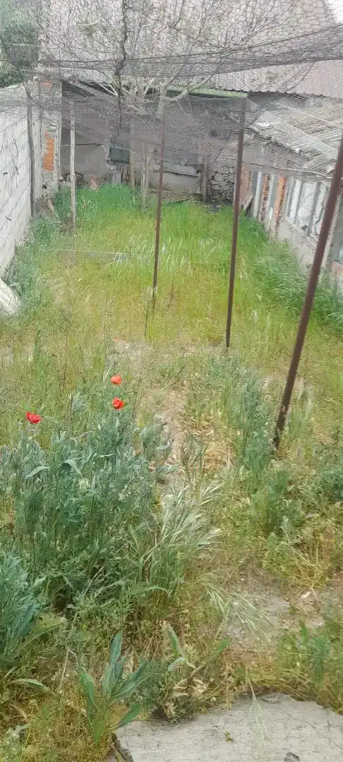Pis en venda en San Miguel del Arroyo amb Jardí privat