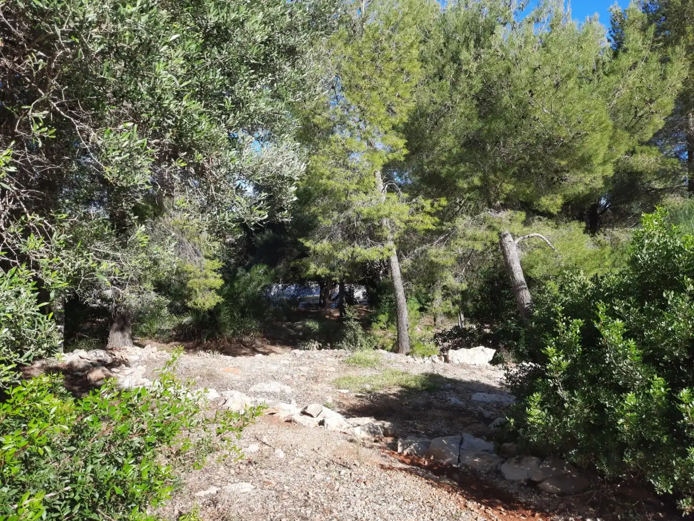 Grundstücke und Bauplätze zum Verkauf in El Montgó, imagen 21