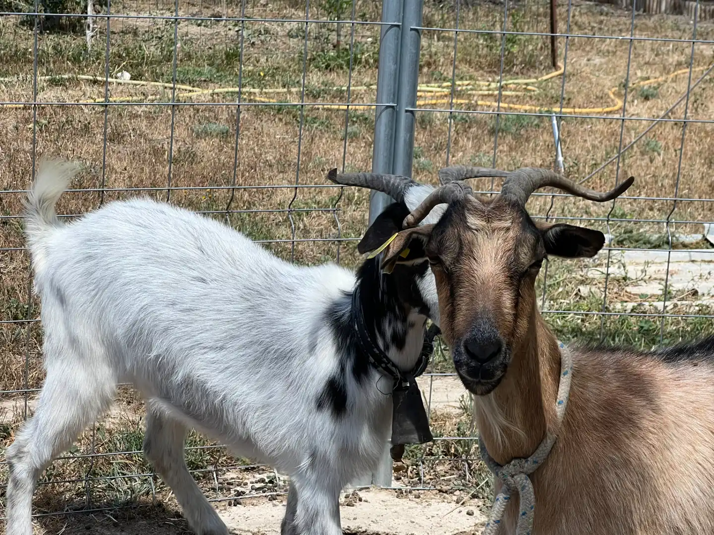 Terreni e lotti in vendita a Barrios rurales del oeste, imagen 5