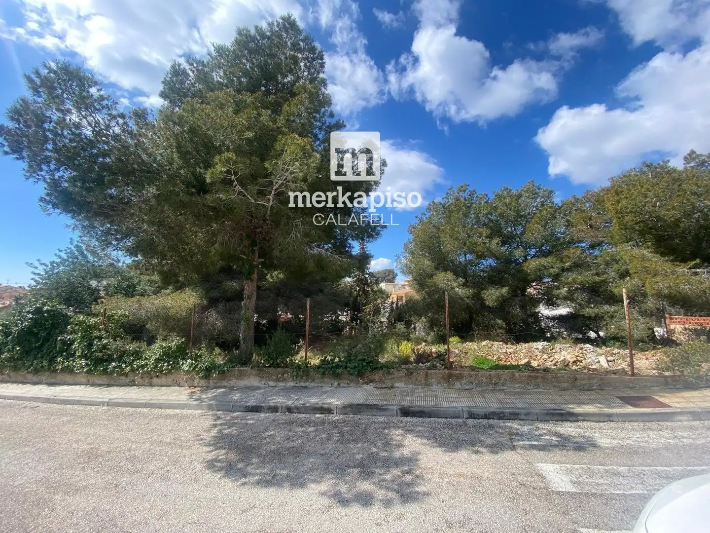 Terreny rústic en venda a Valldemar - Montmar, imagen 4