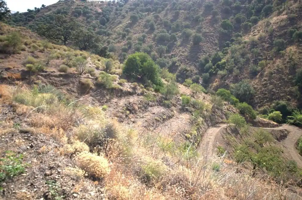 Terreno rústico en venta en Sedella, imagen 2