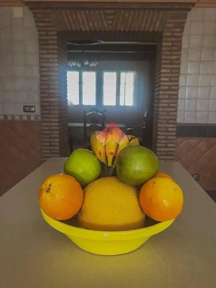 House with terrace for sale in Arriate, imagen 8