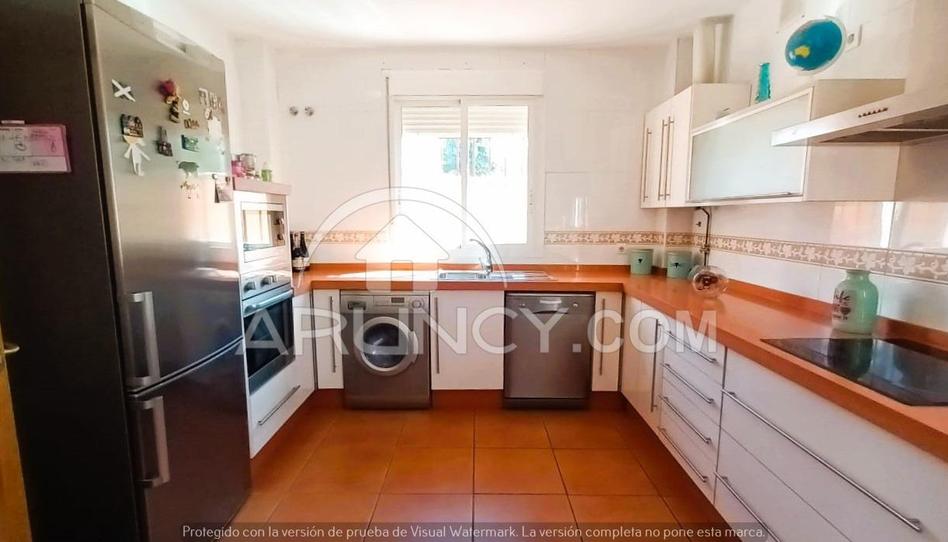 Photo 1 of House or chalet to rent in Los Molinos, Sevilla