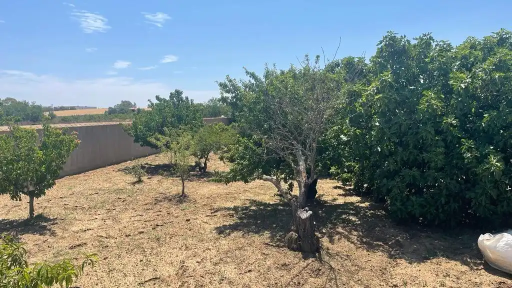 Rustikales Grundstück zum Verkauf in Las Lagunas - Campano, imagen 2