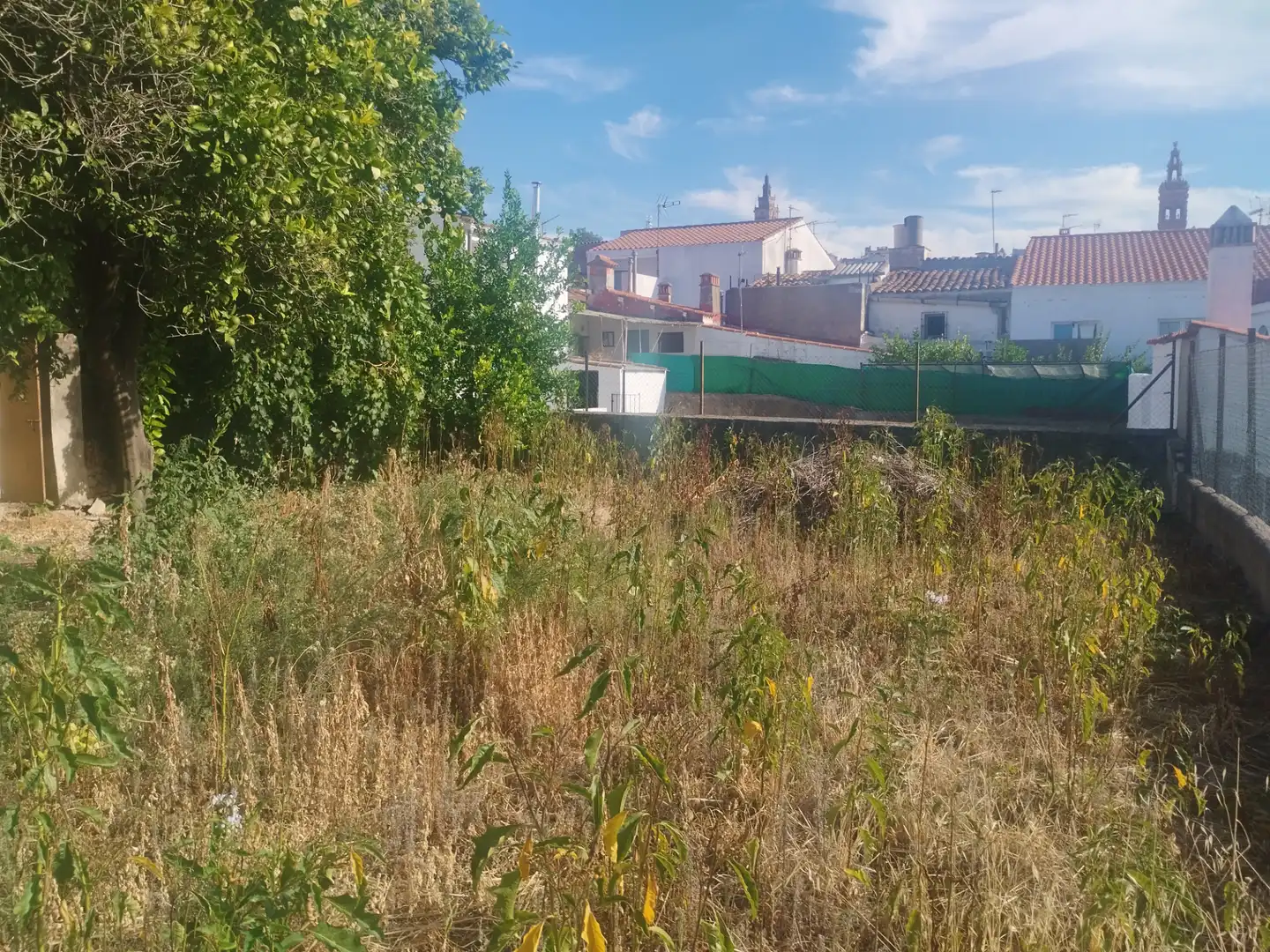 Casa con giardino in vendita a Calle Derecha