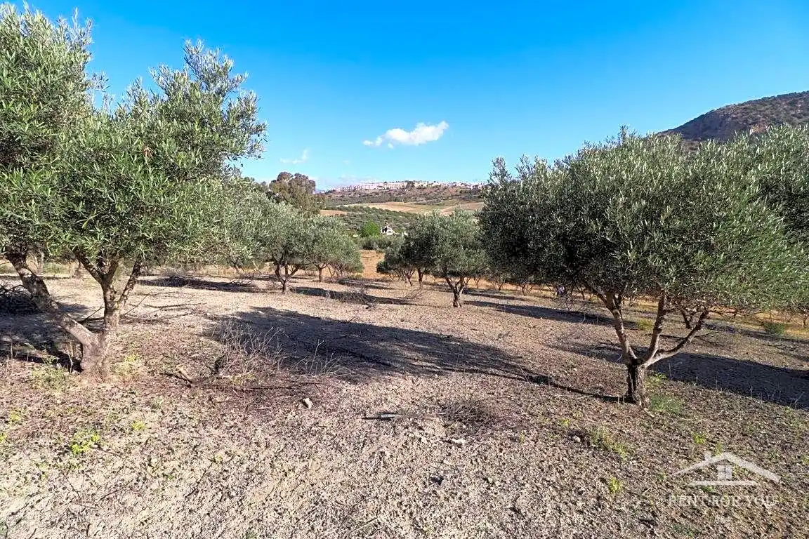 Terreni e lotti in vendita a Coín, imagen 6