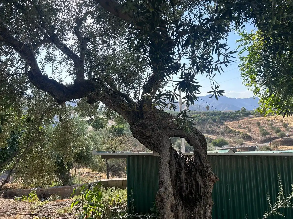 Jardí de Casa o xalet en venda en Álora amb Calefacció, Terrassa i Traster