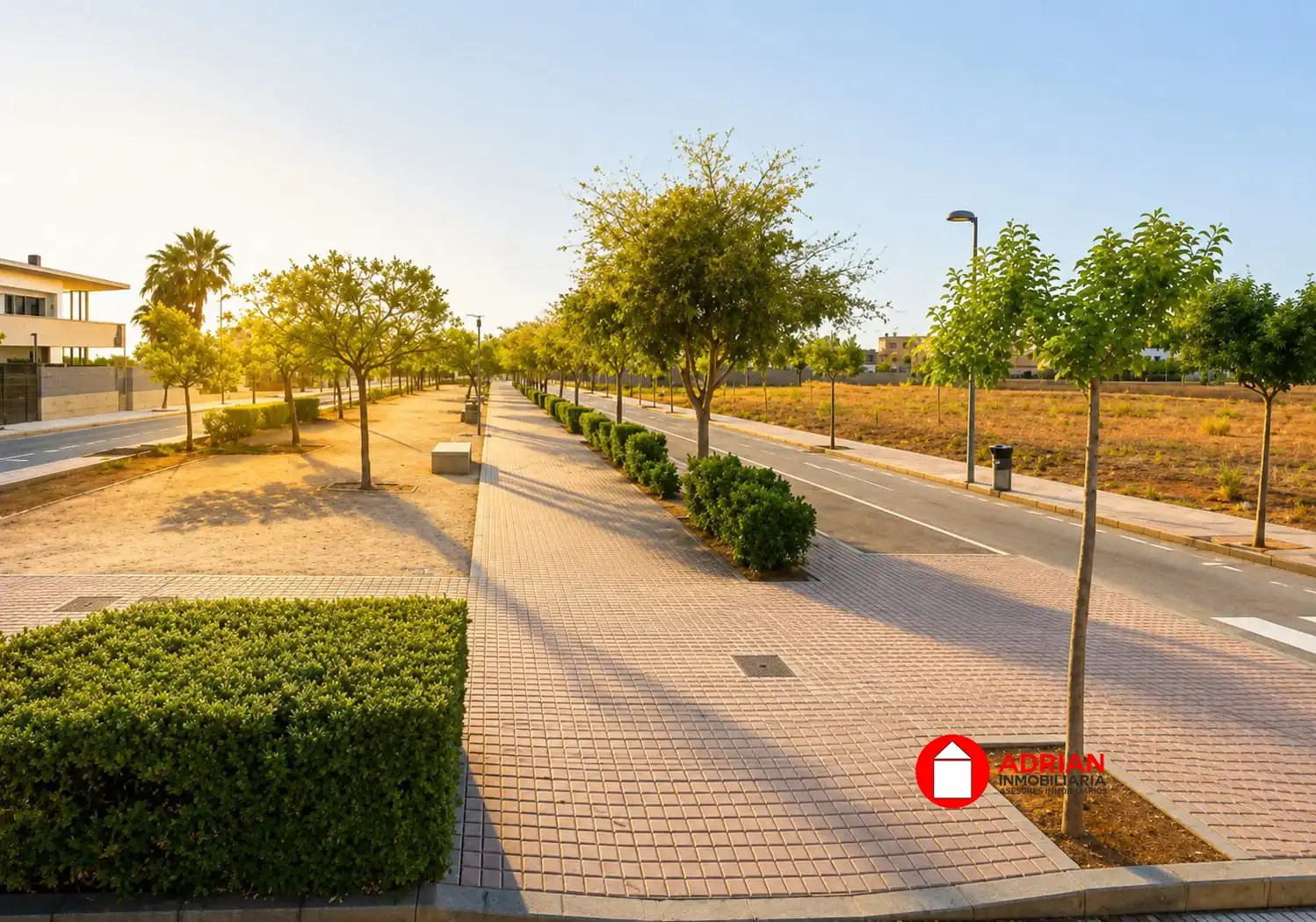Terrenos y solares en venta en La Vall d'Uixó, imagen 4