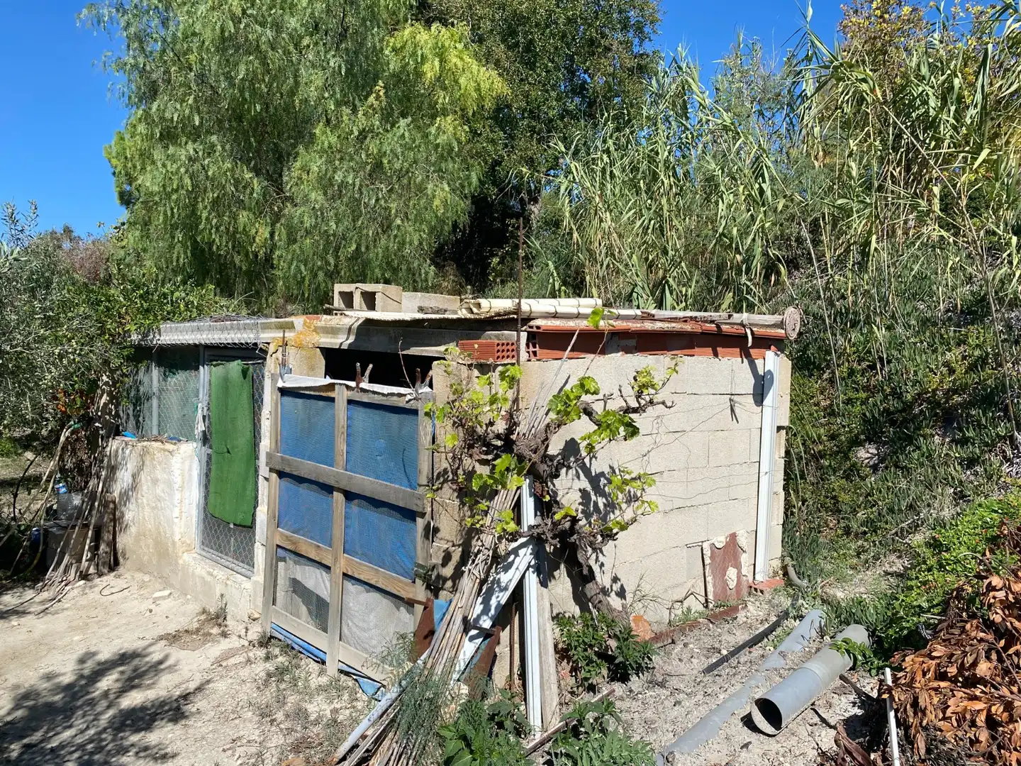 Country house with pool for sale in Sax, imagen 15