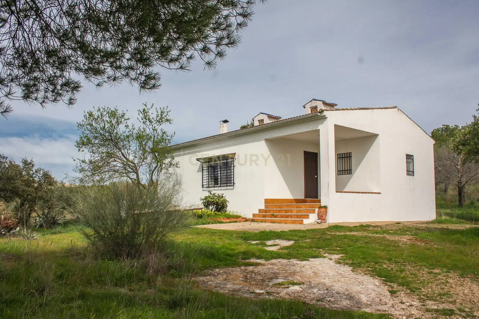 Exterior view of Land for sale in Azuaga